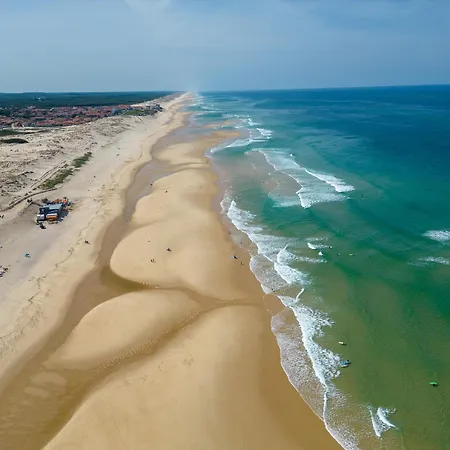 Biscarrosse, 5 Pièces, 8 Personnes - Fr-1-319-488 Biscarrosse