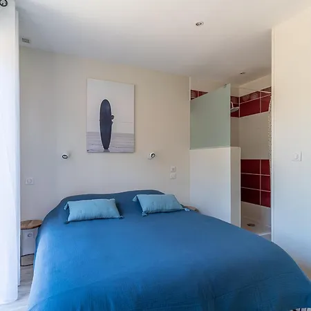 Villa Familiale 10 Pers. A Avec Piscine Chauffee, Pres Du Et Des Pistes Cyclables - Fr-1-319-488 Biscarrosse