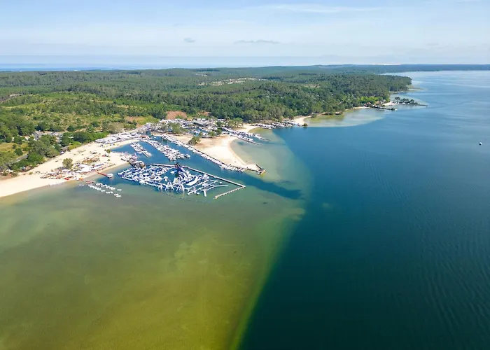 Biscarrosse, 5 Pièces, 8 Personnes - Fr-1-319-488 Villa Biscarrosse